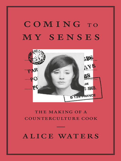 Cover image for Coming to My Senses
